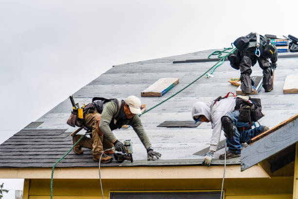 Professional Roofing technician working in Mendota, MN